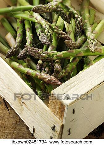 Fresh English asparagus spears View Large Photo Image Picture - Fresh English asparagus spears. Fotosearch