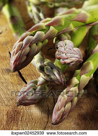 Stock Photo - Fresh English asparagus spears. Fotosearch
