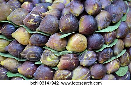 "Fresh figs, market in Kadikoy, Istanbul, Asian side, Istanbul Province, Turkey, Asia" View Large Photo Image Stock Image - "Fresh figs, market in Kadikoy, Istanbul, Asian side, Istanbul Province, Turkey, Asia". Fotosearch