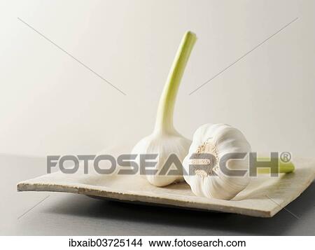 Fresh garlic View Large Photo Image Picture - Fresh garlic. Fotosearch