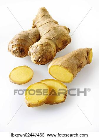 Fresh ginger root View Large Photo Image Stock Image - Fresh ginger root. Fotosearch