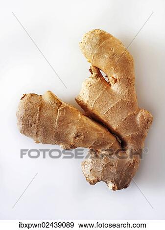 Fresh ginger root View Large Photo Image Stock Photo - Fresh ginger root. Fotosearch