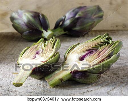 Fresh Globe Artichokes (Cynara cardunculus) View Large Photo Image Stock Photo - Fresh Globe Artichokes (Cynara cardunculus). Fotosearch