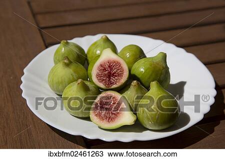 "Fresh green figs (Ficus carica) on a plate, Lagos, Algarve, Portugal, Europe" View Large Photo Image Stock Image - "Fresh green figs (Ficus carica) on a plate, Lagos, Algarve, Portugal, Europe". Fotosearch