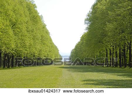 "Fresh green, park, with forest aisle and lawn at Herrenchiemsee in the spring, Herreninsel island, Lake Chiemsee, Chiemgau, Upper Bavaria, Bavaria, Germany, Europe" View Large Photo Image Stock Photo - "Fresh green, park, with forest aisle and lawn at Herrenchiemsee in the spring, Herreninsel island, Lake Chiemsee, Chiemgau, Upper Bavaria, Bavaria, Germany, Europe". Fotosearch