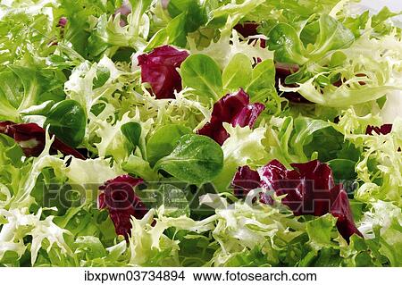 Fresh green salad leaves View Large Photo Image Picture - Fresh green salad leaves. Fotosearch
