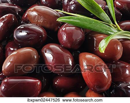 Fresh Kalamata olives View Large Photo Image Stock Photograph - Fresh Kalamata olives. Fotosearch