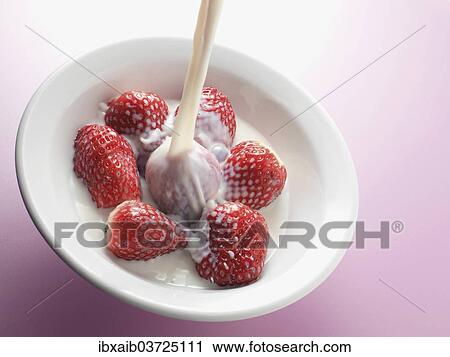 Fresh milk being poured onto a bowl of strawberries View Large Photo Image Stock Image - Fresh milk being poured onto a bowl of strawberries. Fotosearch