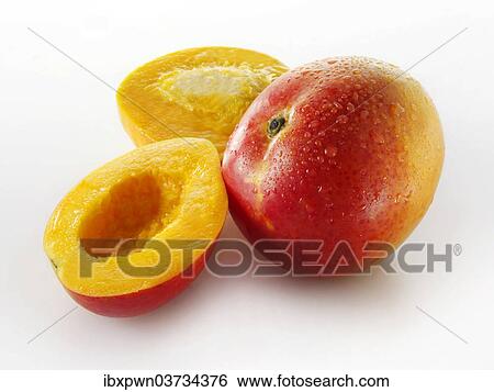 Fresh mini mangos View Large Photo Image Stock Photograph - Fresh mini mangos. Fotosearch