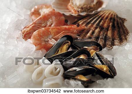 "Fresh mussels, Calamari rings, prawns and scallops on crushed ice" View Large Photo Image Stock Image - "Fresh mussels, Calamari rings, prawns and scallops on crushed ice". Fotosearch
