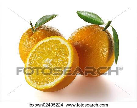 "Fresh oranges, one sliced? Çï? Çïand whole fruits two" View Large Photo Image Picture - "Fresh oranges, one sliced? Çï? Çïand whole fruits two". Fotosearch
