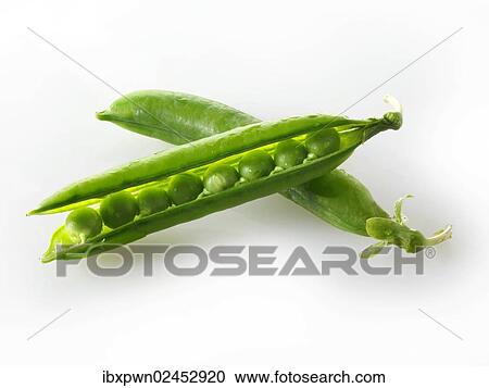 Stock Image - Fresh peas and pea pods. Fotosearch