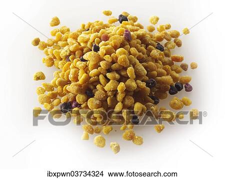 Picture - Fresh pollen grains. Fotosearch