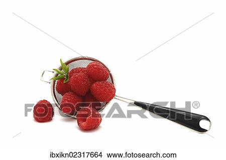 Fresh raspberries in a colander or sieve View Large Photo Image Picture - Fresh raspberries in a colander or sieve. Fotosearch
