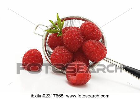 Fresh raspberries in a colander or sieve View Large Photo Image Stock Photography - Fresh raspberries in a colander or sieve. Fotosearch