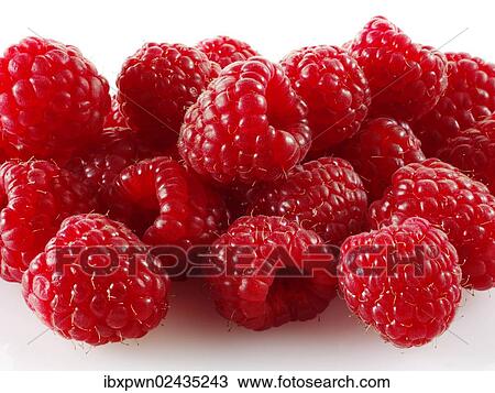 Fresh raspberries View Large Photo Image Stock Image - Fresh raspberries. Fotosearch