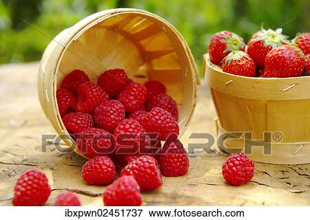 Fresh raspberries View Large Photo Image Stock Photo - Fresh raspberries. Fotosearch