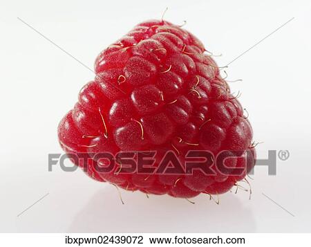 Fresh Raspberry View Large Photo Image Stock Image - Fresh Raspberry. Fotosearch
