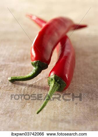 Fresh red chilis View Large Photo Image Stock Photograph - Fresh red chilis. Fotosearch