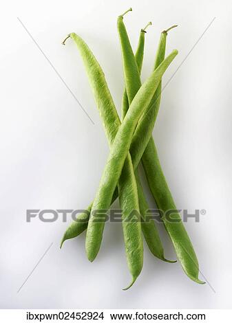 Fresh runner beans View Large Photo Image Picture - Fresh runner beans. Fotosearch