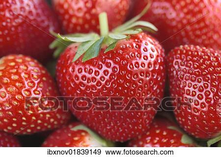 Fresh strawberries View Large Photo Image Stock Photo - Fresh strawberries. Fotosearch