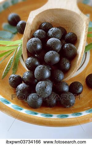 Stock Photograph - Fresh whole Acai berries (Euterpe oleracea). Fotosearch