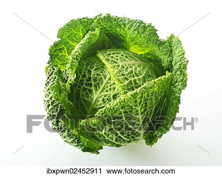 Stock Image - "Fresh whole Curly Cabbage, Savoy Cabbage". Fotosearch
