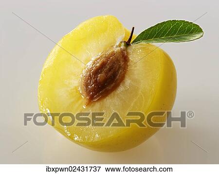 "Fresh yellow plum, half" View Large Photo Image Stock Photo - "Fresh yellow plum, half". Fotosearch