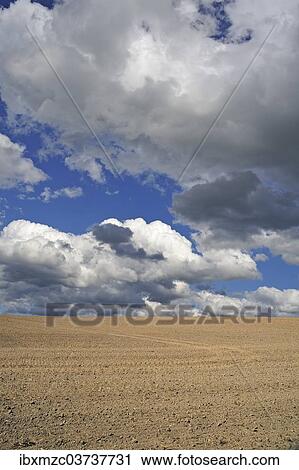 Stock Image - "Freshly sown field with cumulus clouds, Rhena, Mecklenburg-Western Pomerania, Germany, Europe". Fotosearch