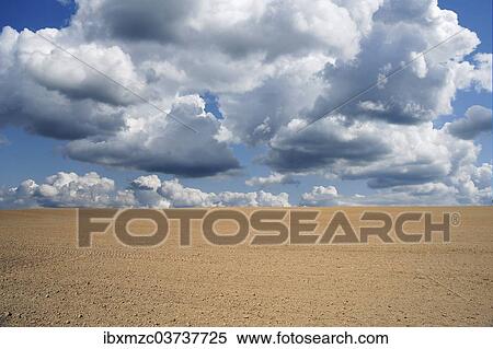 "Freshly sown field with cumulus clouds, Rhena, Mecklenburg-Western Pomerania, Germany, Europe" View Large Photo Image Stock Photography - "Freshly sown field with cumulus clouds, Rhena, Mecklenburg-Western Pomerania, Germany, Europe". Fotosearch