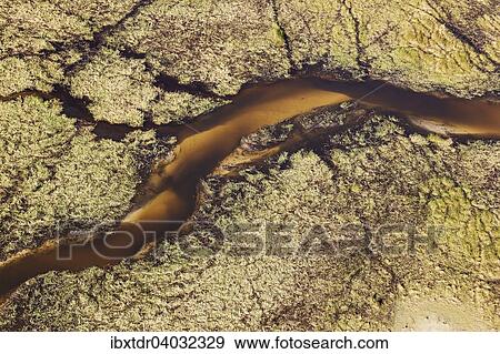 Stock Photo - "Freshwater marshes with sandy streams and channels, aerial view, Okavango Delta, Botswana, Africa". Fotosearch
