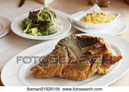 "Fried carp, Franconian Switzerland, Upper Franconia, Franconia, Bavaria, Germany, Europe" View Large Photo Image Stock Photography - "Fried carp, Franconian Switzerland, Upper Franconia, Franconia, Bavaria, Germany, Europe". Fotosearch