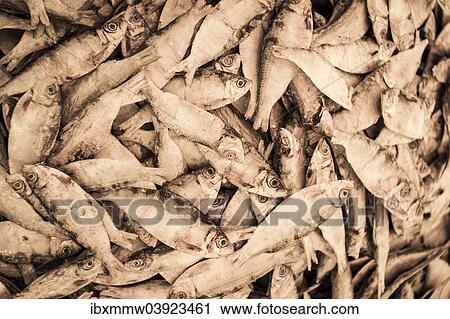 Fried fish View Large Photo Image Stock Image - Fried fish. Fotosearch
