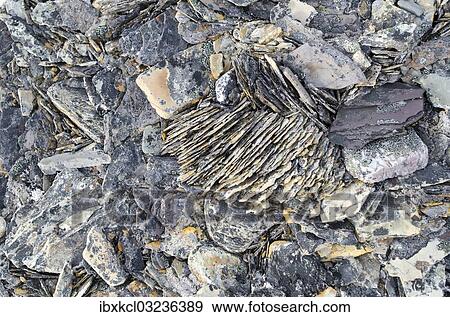 "Frost damaged rocks in the Arctic ice desert, Zorgdragerfjord, Prins Oscars Land, Nordaustlandet, Svalbard Archipelago, Svalbard and Jan Mayen, Norway, Europe" View Large Photo Image Stock Photo - "Frost damaged rocks in the Arctic ice desert, Zorgdragerfjord, Prins Oscars Land, Nordaustlandet, Svalbard Archipelago, Svalbard and Jan Mayen, Norway, Europe". Fotosearch