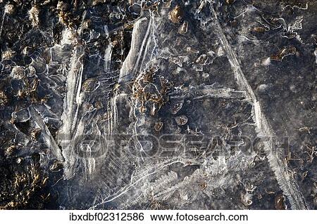 "Frozen ground, ice structures, Iceland, Europe" View Large Photo Image Stock Photograph - "Frozen ground, ice structures, Iceland, Europe". Fotosearch