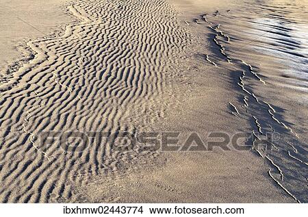 "Frozen sandy soil, still partially covered with frost, Great Sand Dunes National Park, Mosca, Colorado, USA" View Large Photo Image Picture - "Frozen sandy soil, still partially covered with frost, Great Sand Dunes National Park, Mosca, Colorado, USA". Fotosearch
