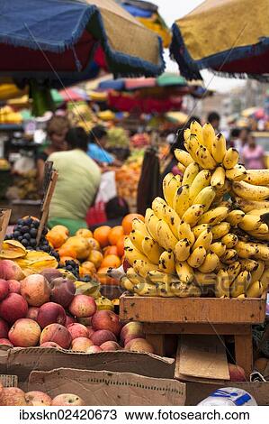 "Fruit for sale at a market in Chiclayo, Lambayeque, Peru, South America" View Large Photo Image Stock Image - "Fruit for sale at a market in Chiclayo, Lambayeque, Peru, South America". Fotosearch