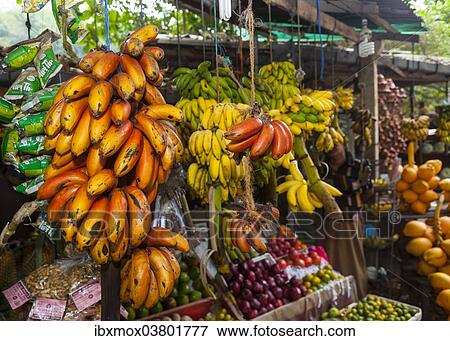 "Fruit stand, red banana in front, Ambulugala region Utuwana, Sri Lanka, Asia" View Large Photo Image Stock Photo - "Fruit stand, red banana in front, Ambulugala region Utuwana, Sri Lanka, Asia". Fotosearch