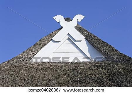 "Gable decoration, crossed horses' heads, Lower Saxony horse, thatched roof, Ahrenshoop, Darss, Fischland-Darss-Zingst, Mecklenburg-Western Pomerania, Germany, Europe" View Large Photo Image Stock Photo - "Gable decoration, crossed horses' heads, Lower Saxony horse, thatched roof, Ahrenshoop, Darss, Fischland-Darss-Zingst, Mecklenburg-Western Pomerania, Germany, Europe". Fotosearch