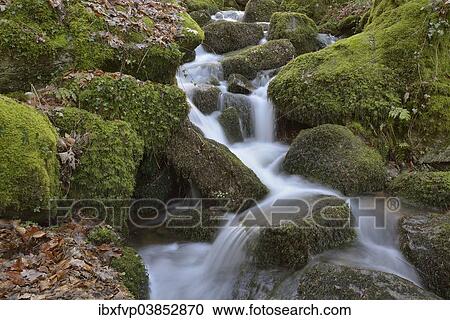 "Gaisholl Waterfalls, near Sasbachwalden, Black Forest, Baden-Wurttemberg, Germany, Europe" View Large Photo Image Stock Image - "Gaisholl Waterfalls, near Sasbachwalden, Black Forest, Baden-Wurttemberg, Germany, Europe". Fotosearch