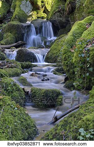 "Gaisholl Waterfalls, near Sasbachwalden, Black Forest, Baden-Wurttemberg, Germany, Europe" View Large Photo Image Stock Image - "Gaisholl Waterfalls, near Sasbachwalden, Black Forest, Baden-Wurttemberg, Germany, Europe". Fotosearch