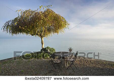 "Garden furniture and a tree, early morning mood on Lake Constance near Landschlacht, Switzerland, Europe, PublicGround, Europe" View Large Photo Image Stock Photo - "Garden furniture and a tree, early morning mood on Lake Constance near Landschlacht, Switzerland, Europe, PublicGround, Europe". Fotosearch