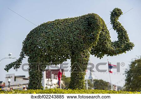 "Garden sculpture, elephant topiary, Bangkok, Thailand, Asia" View Large Photo Image Stock Photography - "Garden sculpture, elephant topiary, Bangkok, Thailand, Asia". Fotosearch