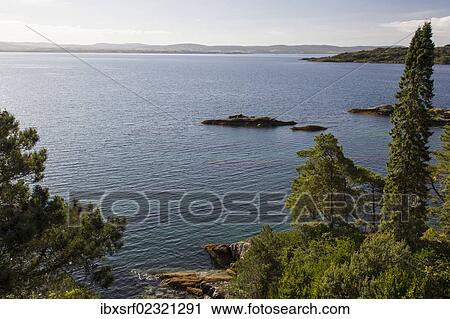 "Garinish Island, Ilnacullin, Bantry Bay, Cork, Ireland, Europe" View Large Photo Image Stock Image - "Garinish Island, Ilnacullin, Bantry Bay, Cork, Ireland, Europe". Fotosearch