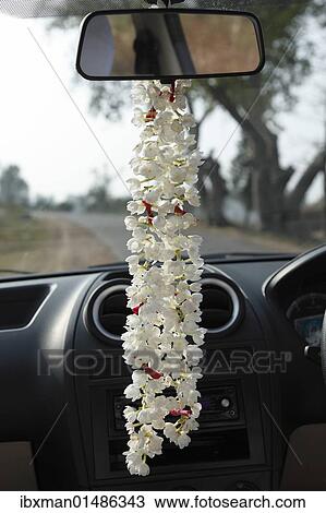 "Garland of jasmine flowers hanging on the rearview mirror of a car, Karnataka, South India, India, South Asia, Asia" View Large Photo Image Stock Image - "Garland of jasmine flowers hanging on the rearview mirror of a car, Karnataka, South India, India, South Asia, Asia". Fotosearch