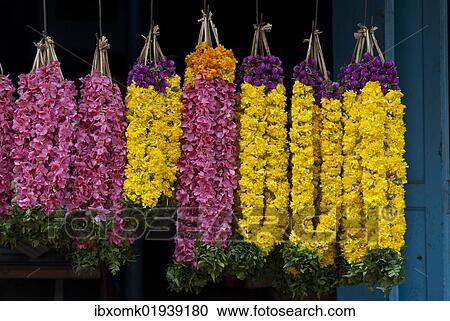 Stock Image - "Garlands of flowers, flower market, Tiruvanathapuram, Trivandrum, Kerala, South India, India, Asia". Fotosearch