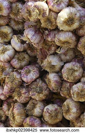 Stock Photography - "Garlic on a market, French Riviera, France, Europe". Fotosearch