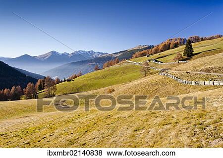 "Gedrumalm, Getrumalm alpine meadow, behind the Sarn Valley, South Tyrol, Italy, Europe" View Large Photo Image Stock Photo - "Gedrumalm, Getrumalm alpine meadow, behind the Sarn Valley, South Tyrol, Italy, Europe". Fotosearch