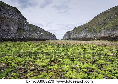 "Geodha Smoo fjord during low tide, Durness, Northern Highlands, Scotland, United Kingdom, Europe" View Large Photo Image Stock Image - "Geodha Smoo fjord during low tide, Durness, Northern Highlands, Scotland, United Kingdom, Europe". Fotosearch