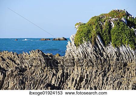 "Geological rock layers on the Kaikoura Peninsula, South Island, New Zealand, Oceania" View Large Photo Image Stock Image - "Geological rock layers on the Kaikoura Peninsula, South Island, New Zealand, Oceania". Fotosearch